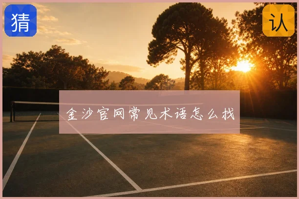 金沙官网常见术语怎么找
