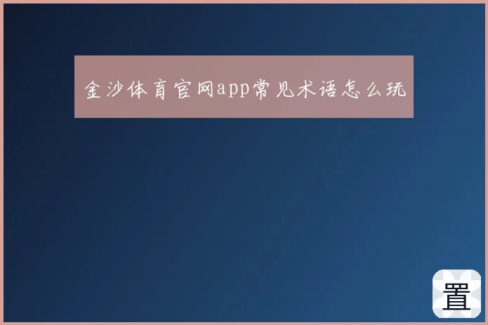 金沙体育官网app常见术语怎么玩